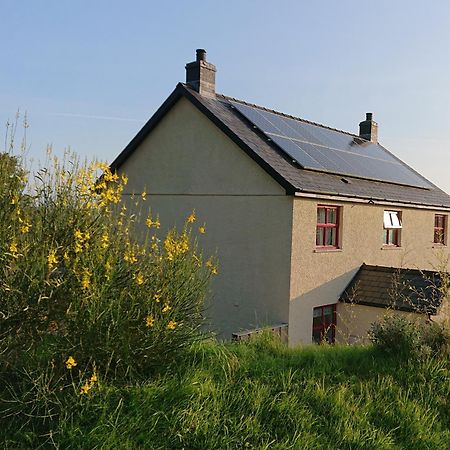 Treberfedd Farm Cottages And Cabins Lampeter Dış mekan fotoğraf