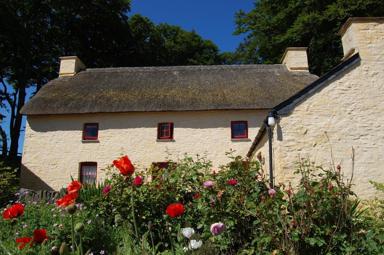 Treberfedd Farm Cottages And Cabins Lampeter Dış mekan fotoğraf